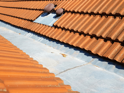 About Skynvex Ridge - roofing contractor experts in Walnut
